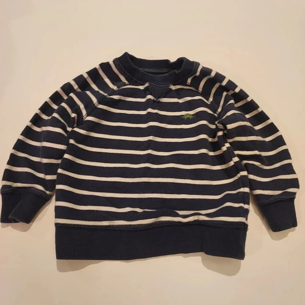 Set of 3 Baby Boy Dinosaur Theme Pull Over Sweatshirts in Size 18 Months